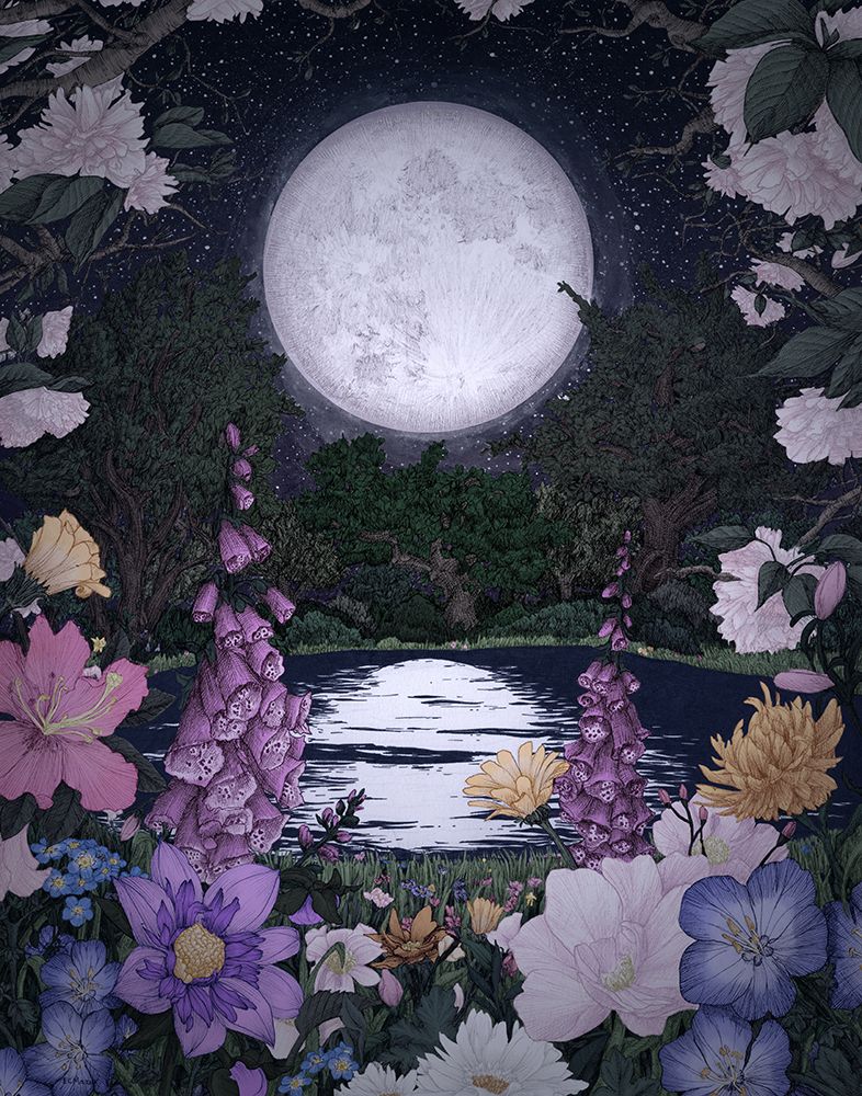 Moon Garden Reflections sample